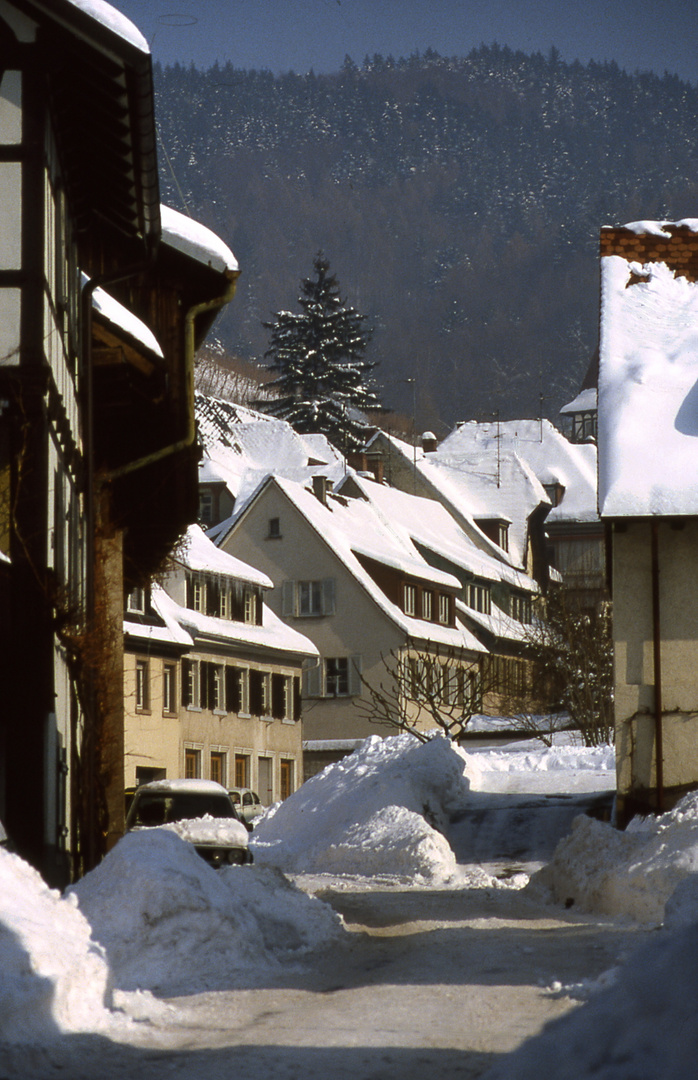 Freiburger Winter 1985/86