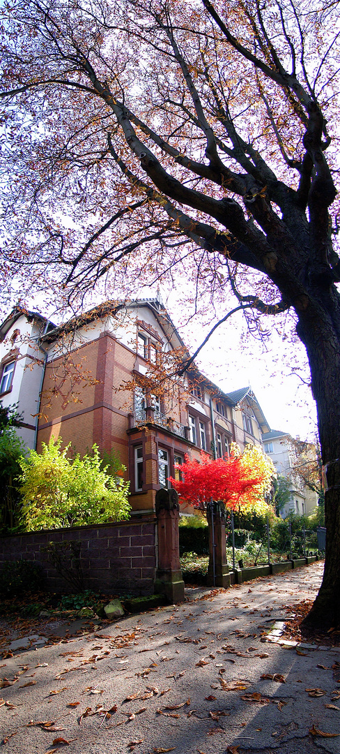 FREIBURGS-TRAUM-MEILE "MOZARTSTRASSE"