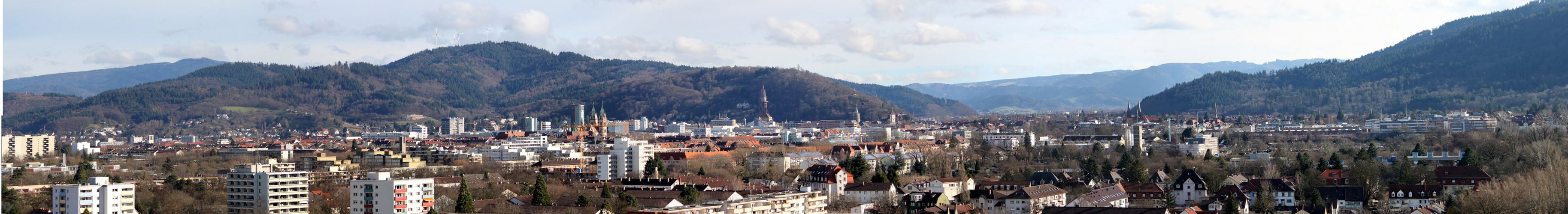 FreiburgSchwarzwaldPanorama