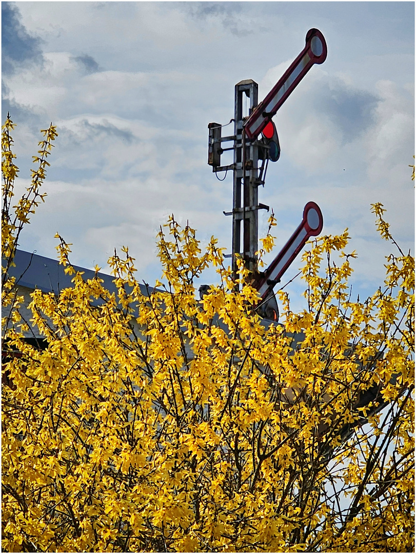 Freie Fahrt in den Frühling