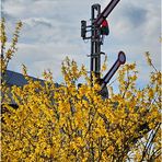 Freie Fahrt in den Frühling