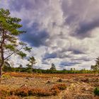 FREIe HEIDe