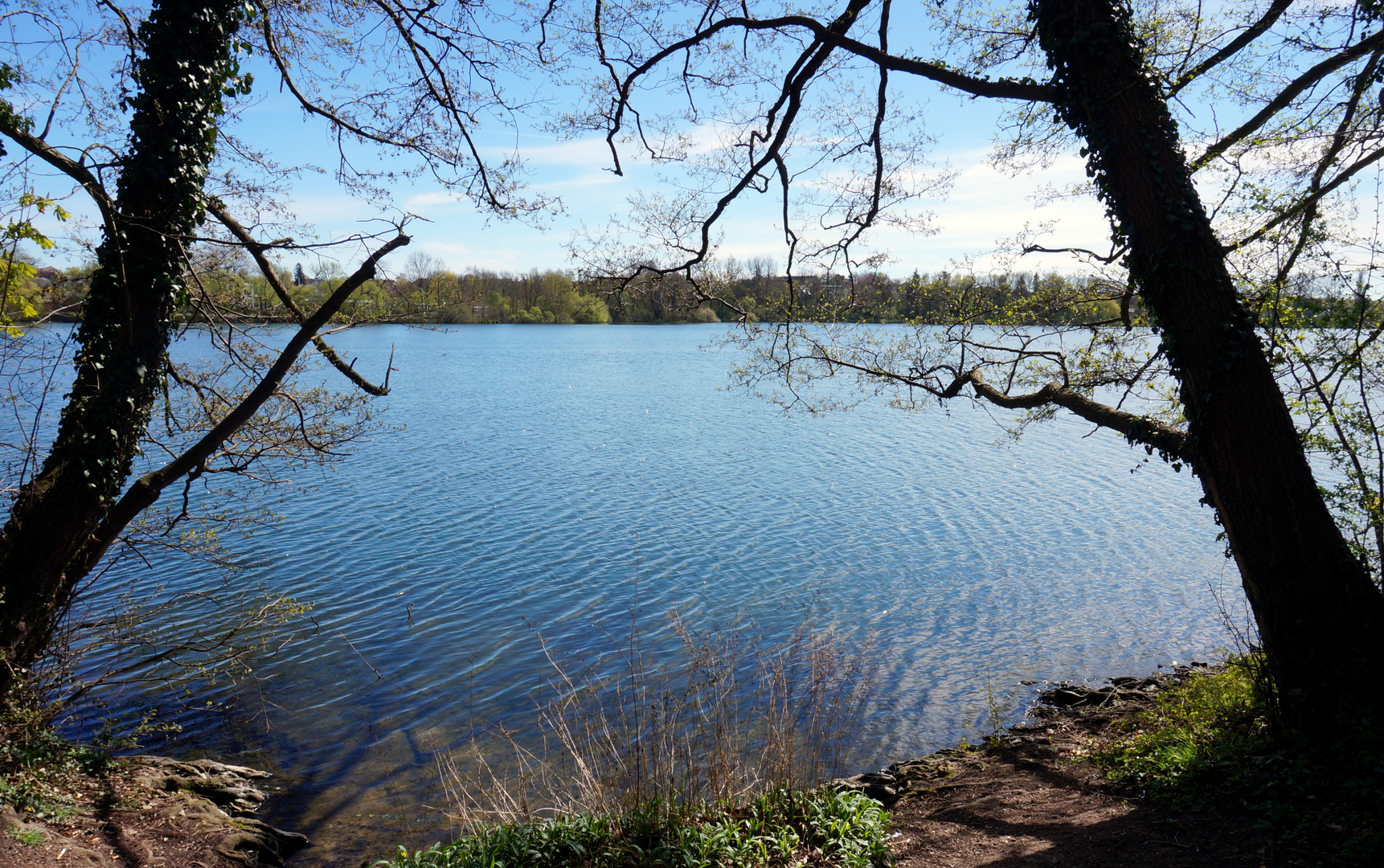 Freie Sicht über den See