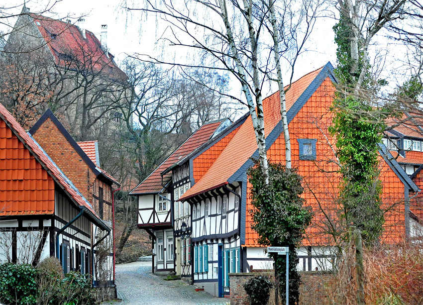 Freie Sicht zur Burg