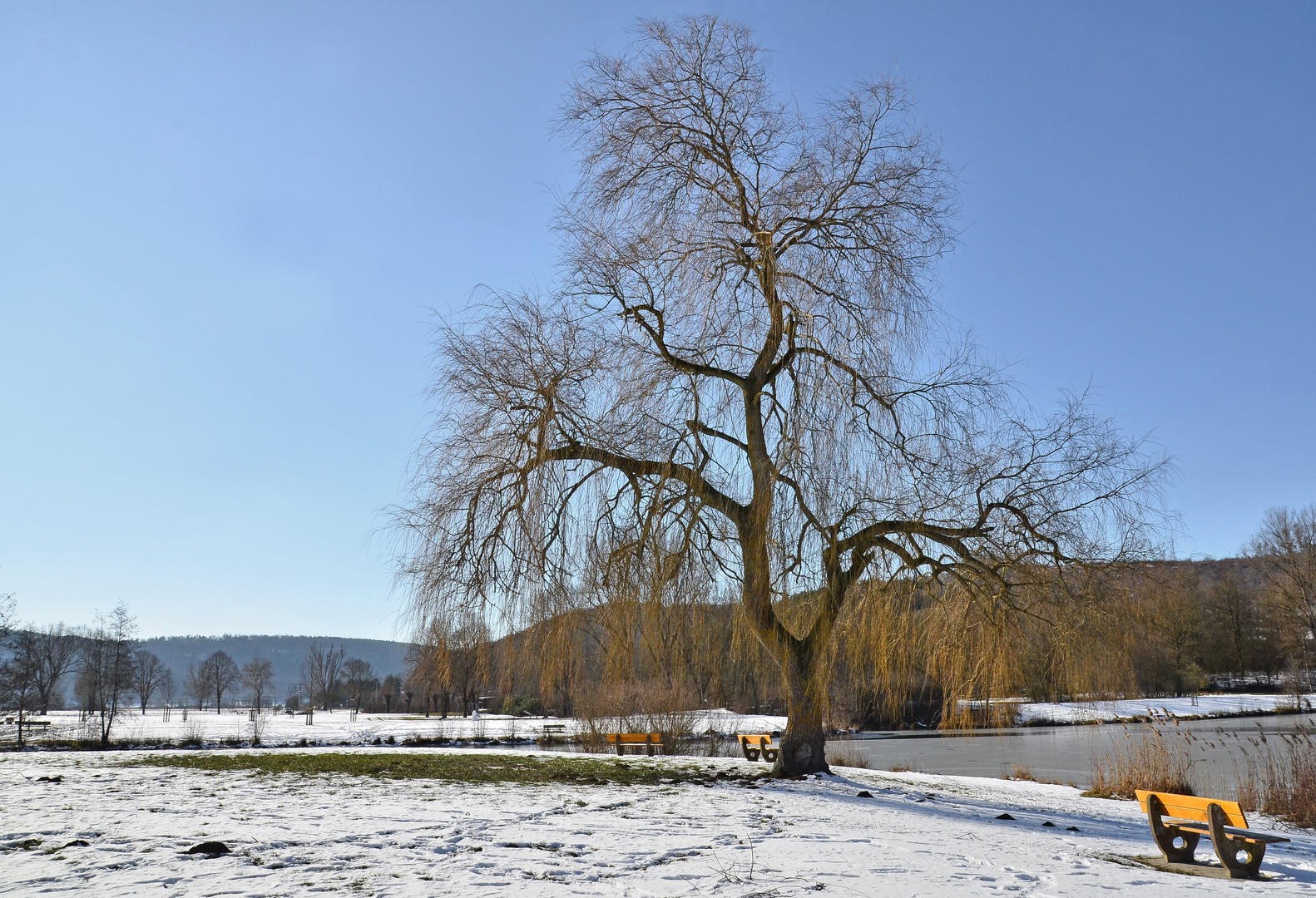 Freie Sonnenplätze