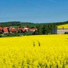 Freienhagen Panorama