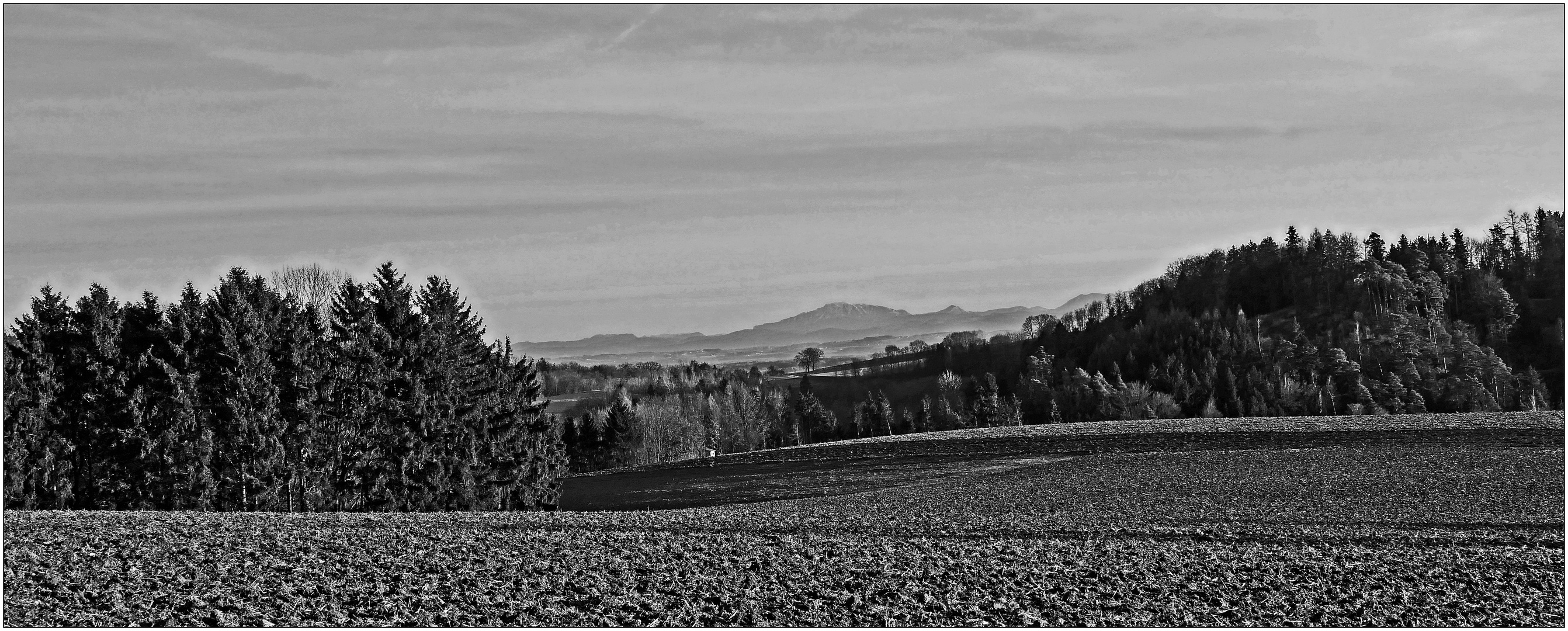 freier Blick (sw)