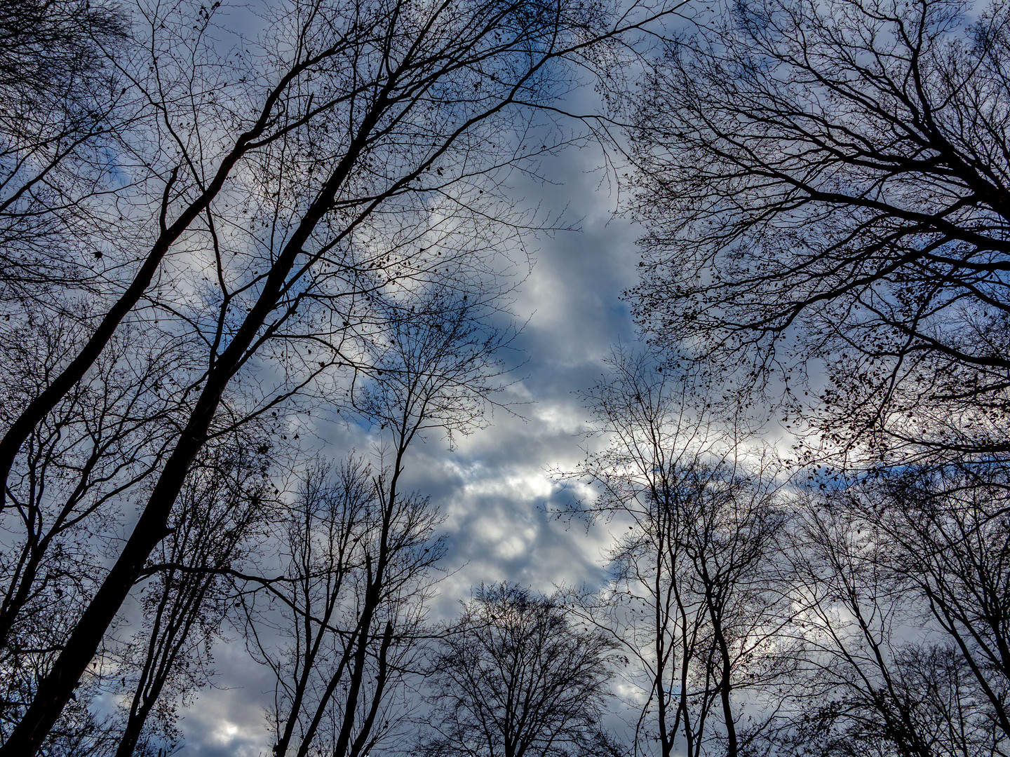 Freier Durchblick