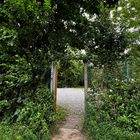 Freier Durchgang in der Natur.