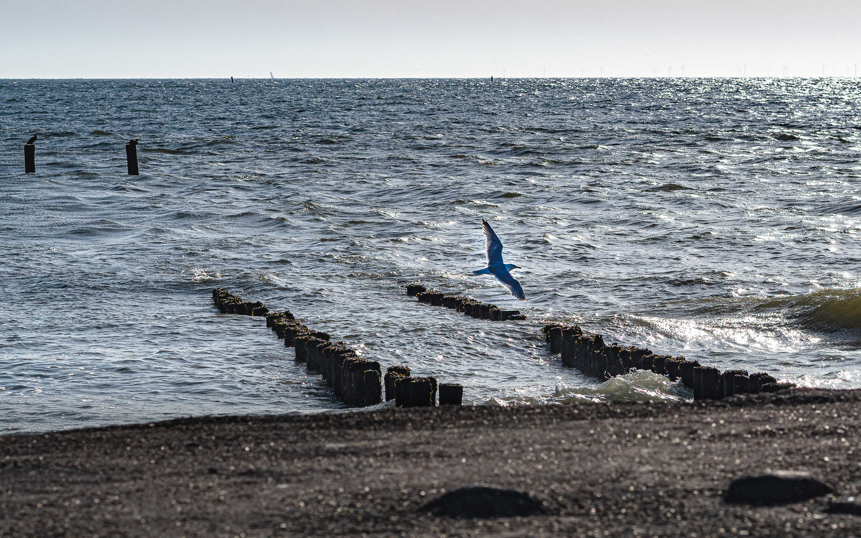 Freier Flug