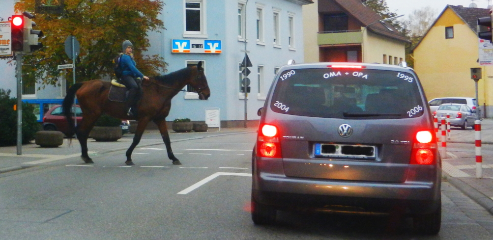 freier galopp für freie reiter