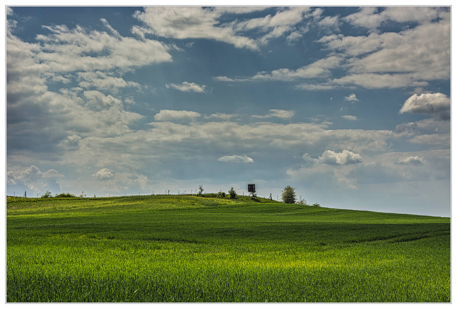 Freies Schußfeld