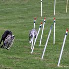 Freies Training ..... zum Großen preis von Limburg