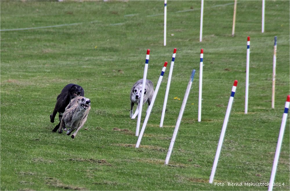 Freies Training ..... zum Großen preis von Limburg