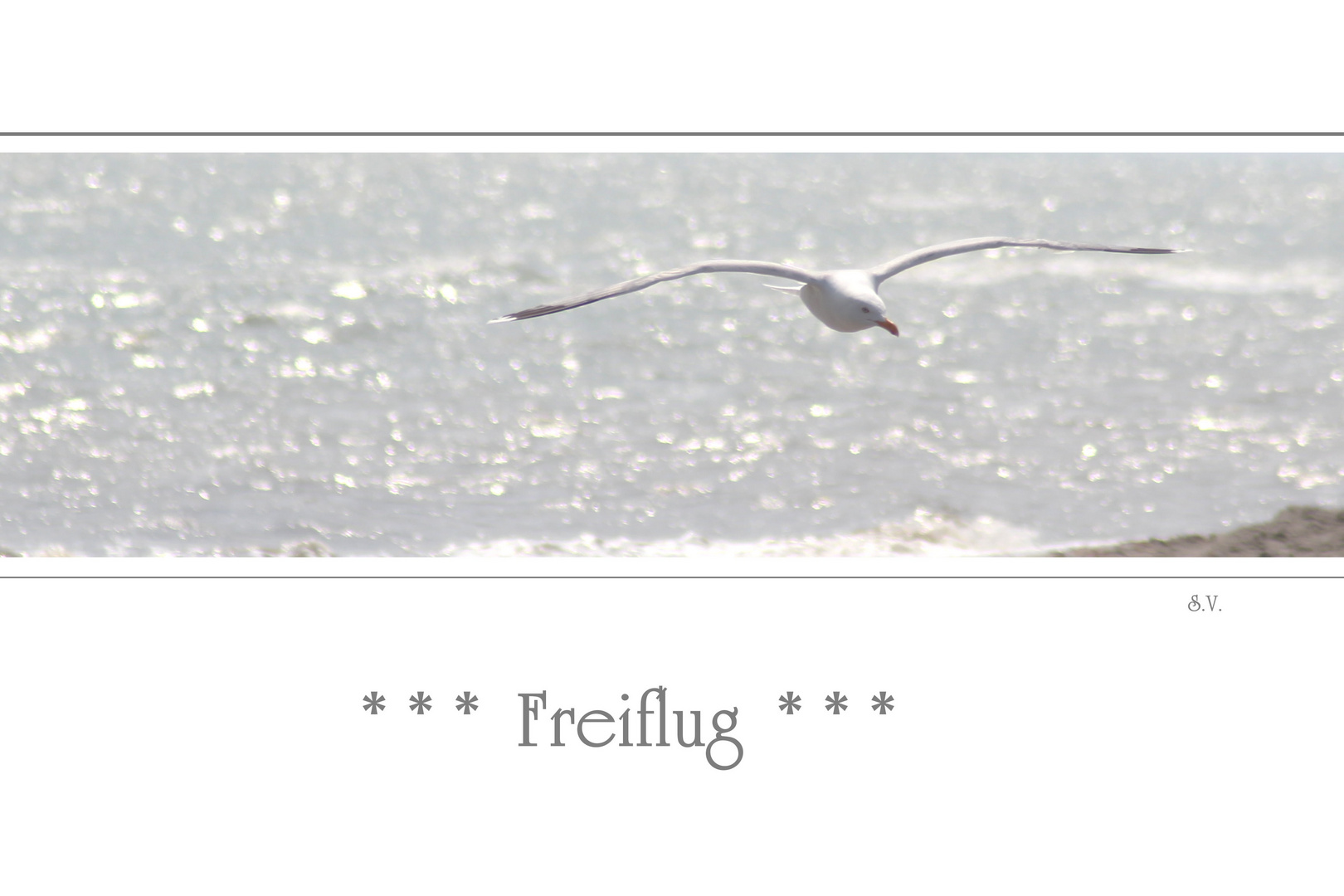 Freiflug