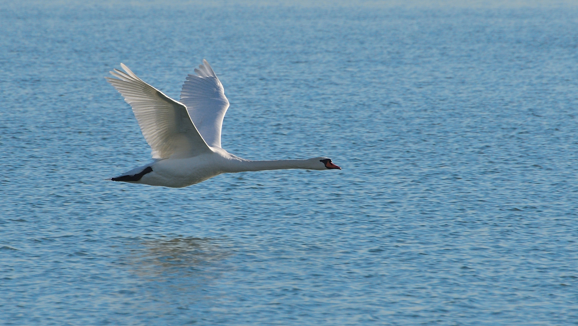 Freiflug