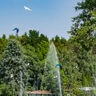 Freiflug im Vogelpark Walsrode