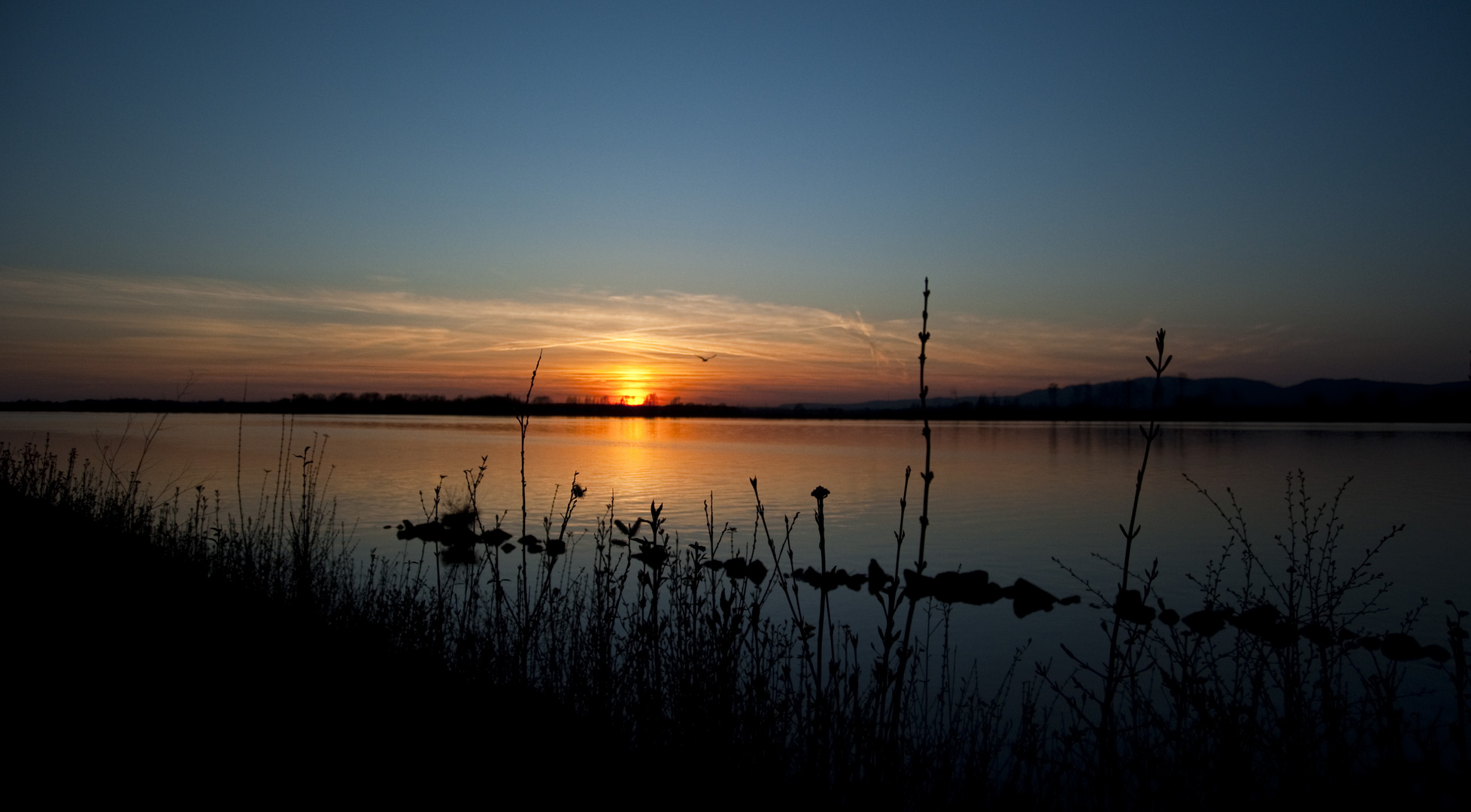 Freiflug in den Sonnenuntergang