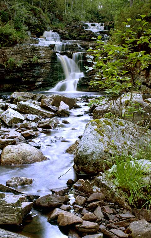 Freifossen