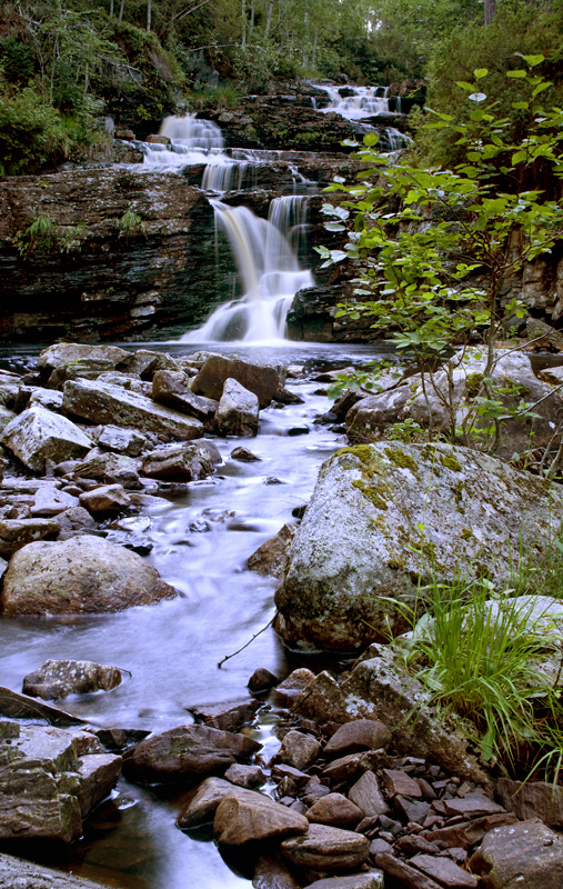 Freifossen