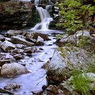 Freifossen