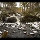 Freifossen by winter