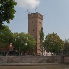 Freigänger in Heilbronn / Götzenturm in Heilbronn (Ju)