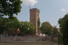 Freigänger in Heilbronn / Götzenturm in Heilbronn (Ju)