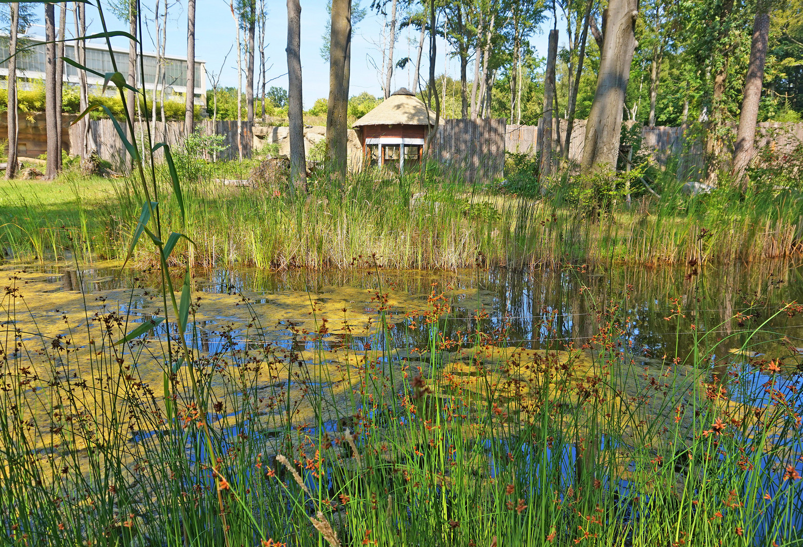 Freigehege am Darwineum