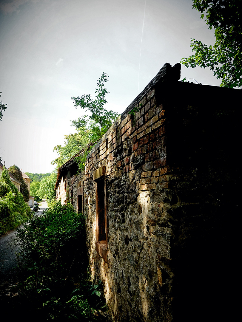 Freigericht, Spaziergang am Hof Trages No. 02