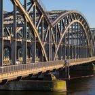 Freihafen Elbbrücke im Abendlicht