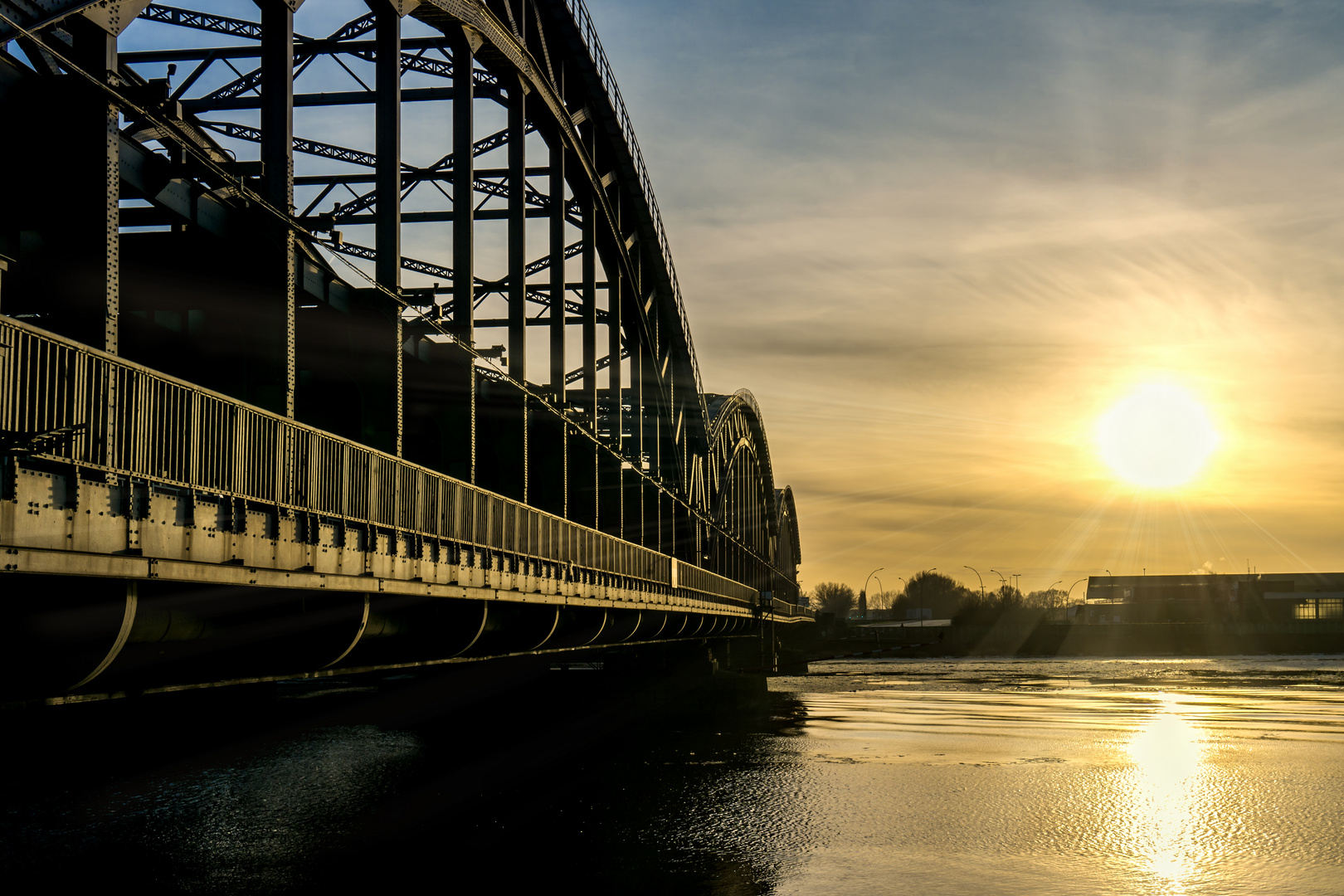 Freihafenelbbrücke