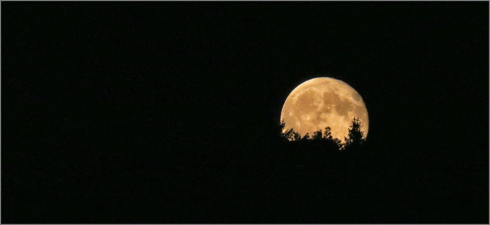 Freihand-Mond auf Balkonia...