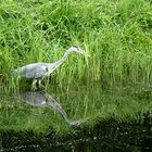 Freihand,aus größerer Entfernung fotografiert