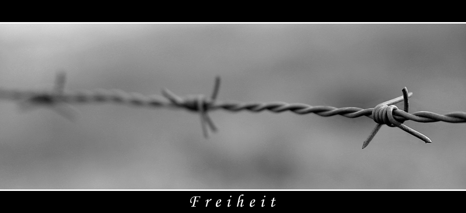 --+-- Freiheit --+--