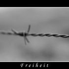 --+-- Freiheit --+--