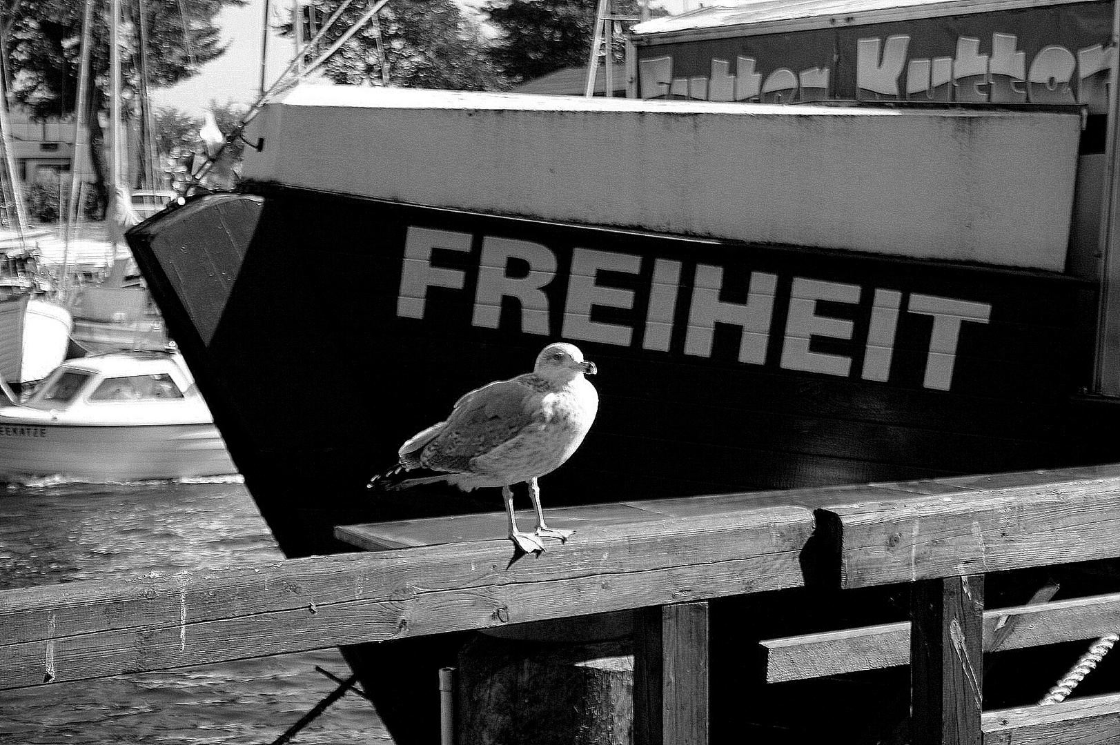 Freiheit