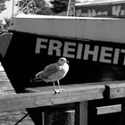 Freiheit