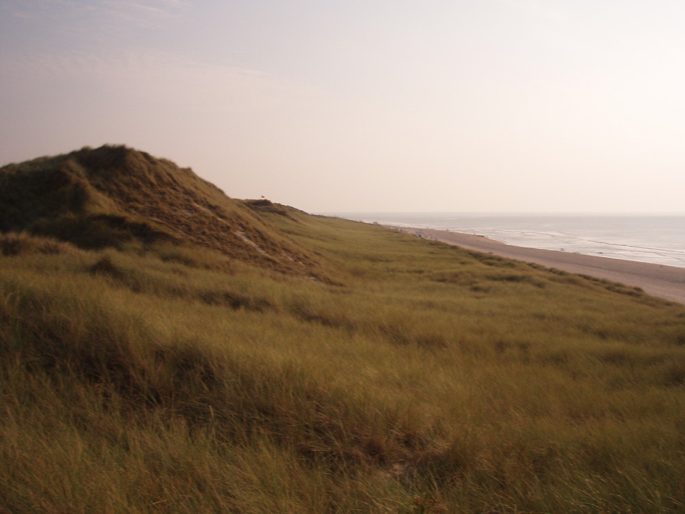 Freiheit am Meer