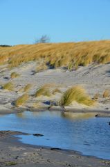 Freiheit am Strand ( Coronatime)