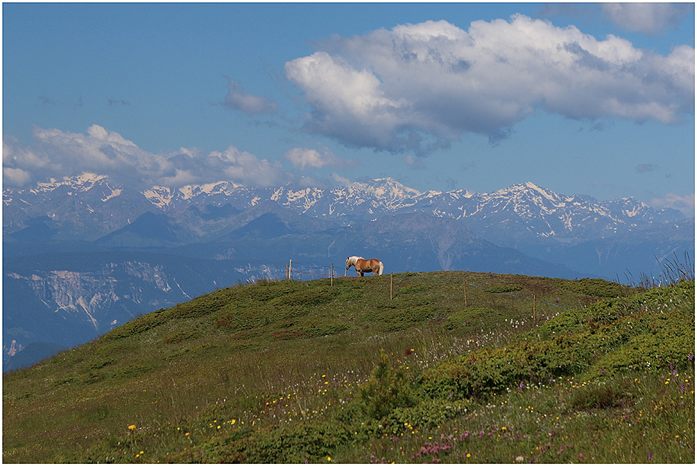 Freiheit auf der Seiser Alm....