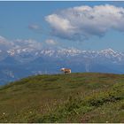 Freiheit auf der Seiser Alm....