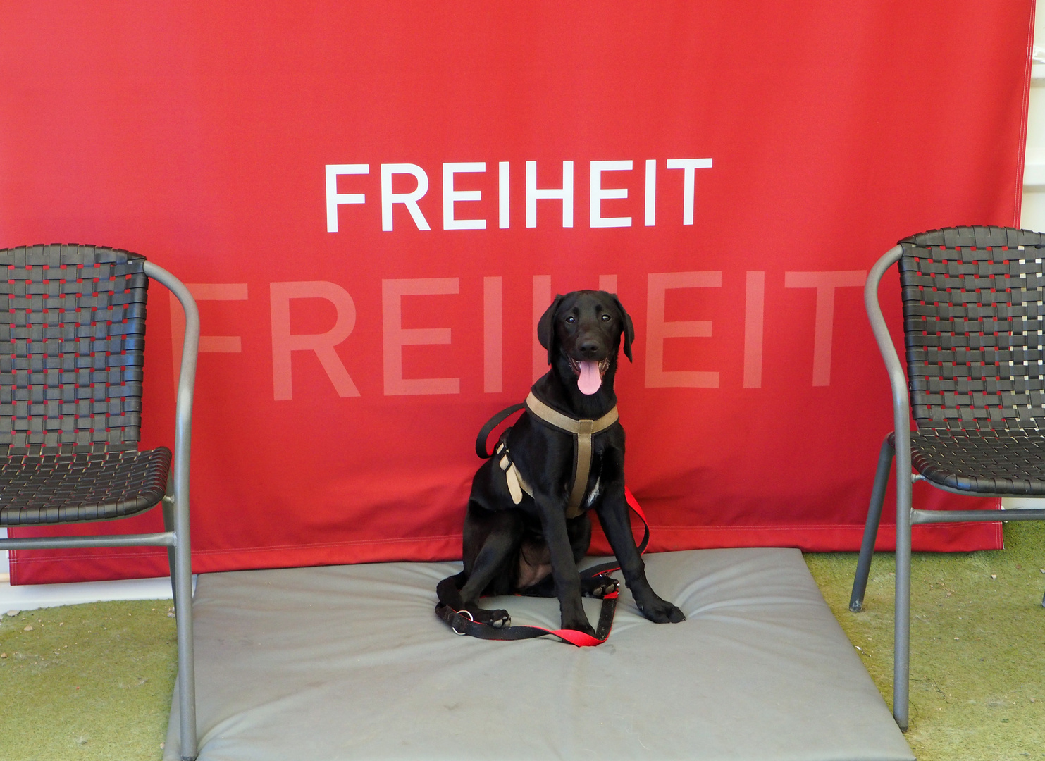 Freiheit