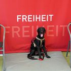 Freiheit