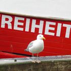 Freiheit