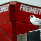 Freiheit