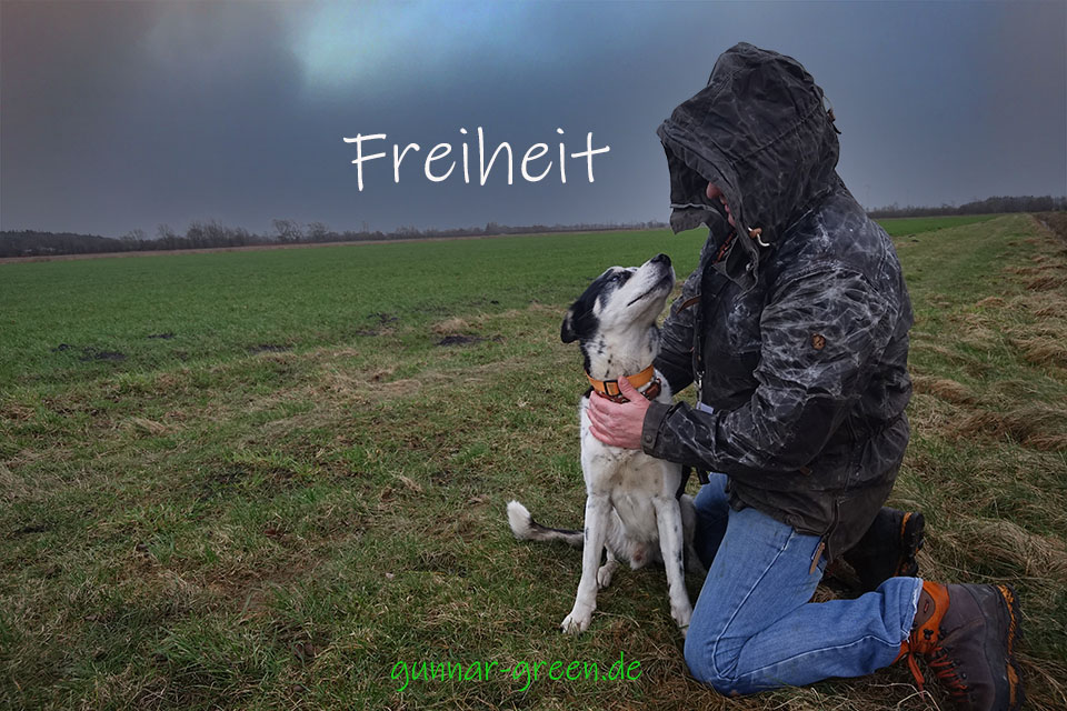 Freiheit