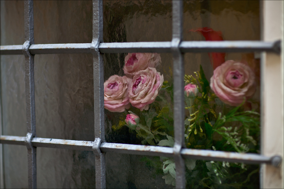 Freiheit für die Blumen !