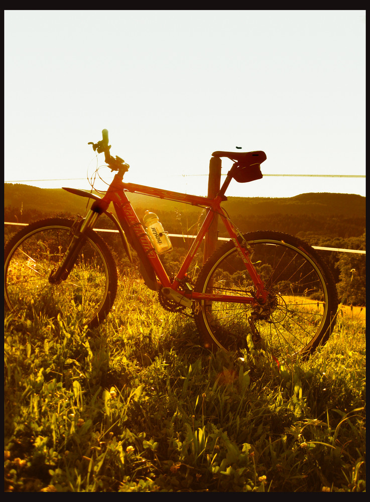 Freiheit Genissen Beim Biken.