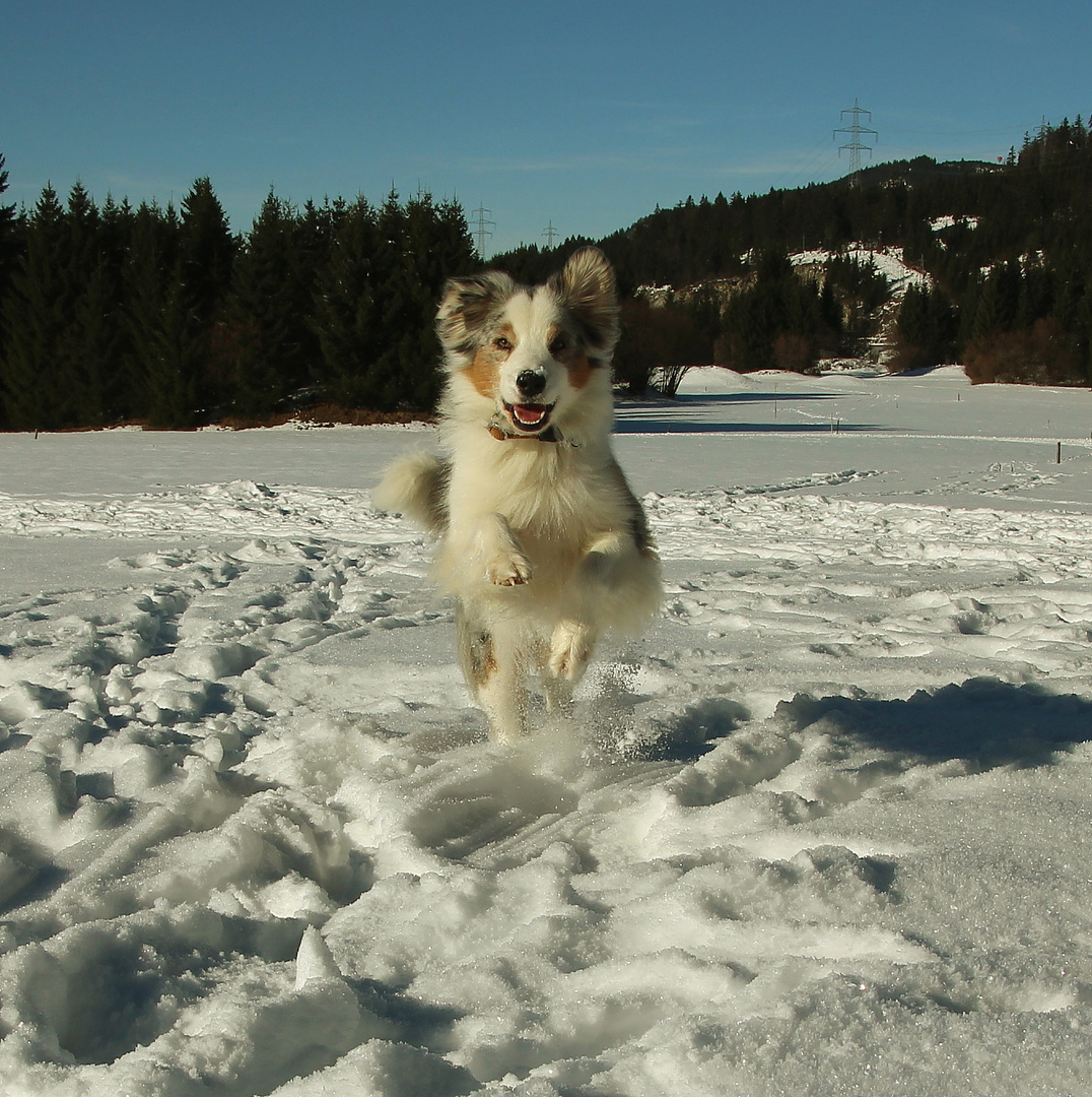 Freiheit im Schnee